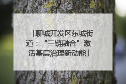 聊城开发区东城街道：“三链融合”激活基层治理新动能