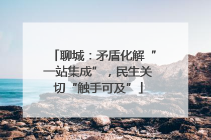 聊城：矛盾化解“一站集成”，民生关切“触手可及”
