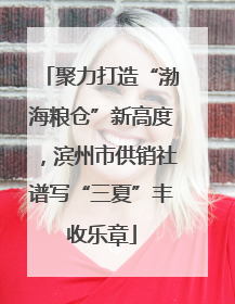 聚力打造“渤海粮仓”新高度，滨州市供销社谱写“三夏”丰收乐章