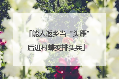 能人返乡当“头雁” 后进村蝶变排头兵