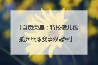 自贡荣县：特校健儿包揽乒乓球赛事双冠军