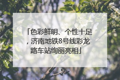 色彩鲜明、个性十足，济南地铁8号线彩龙路车站绚丽亮相