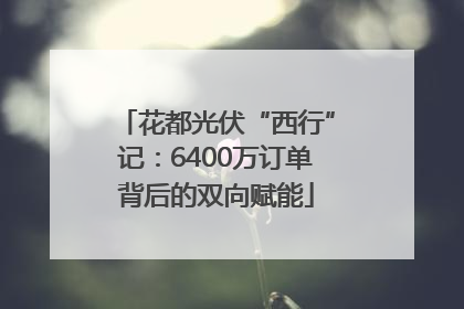 花都光伏“西行”记：6400万订单背后的双向赋能