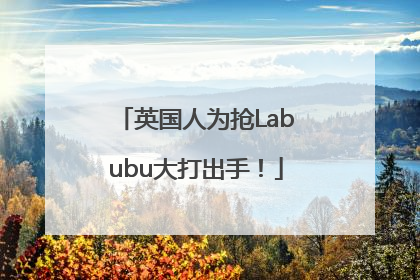 英国人为抢Labubu大打出手！