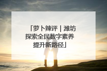 萝卜辣评｜潍坊探索全民数字素养提升新路径