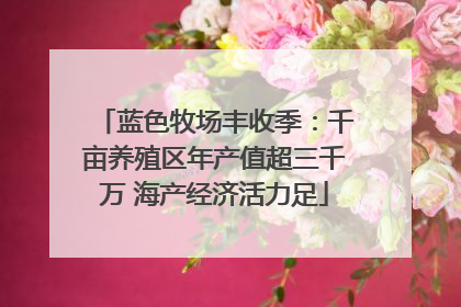 蓝色牧场丰收季：千亩养殖区年产值超三千万 海产经济活力足