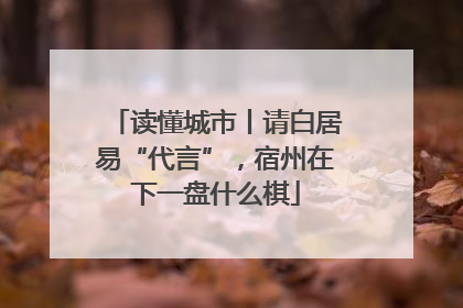 读懂城市丨请白居易“代言”，宿州在下一盘什么棋