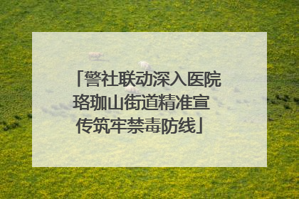 警社联动深入医院 珞珈山街道精准宣传筑牢禁毒防线