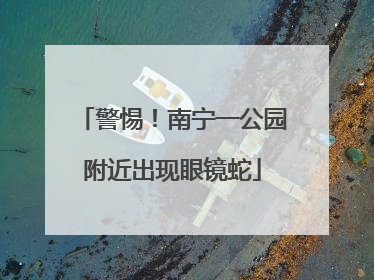 警惕！南宁一公园附近出现眼镜蛇