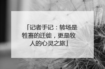 记者手记：转场是牲畜的迁徙，更是牧人的心灵之旅