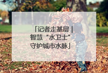 记者走基层｜智慧“水卫士”守护城市水脉