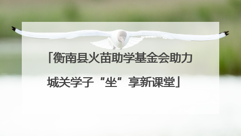 衡南县火苗助学基金会助力城关学子“坐”享新课堂