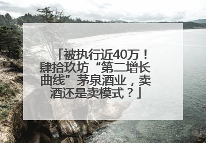被执行近40万！肆拾玖坊“第二增长曲线”茅泉酒业，卖酒还是卖模式？