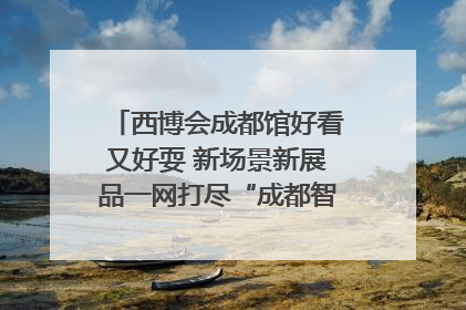 西博会成都馆好看又好耍 新场景新展品一网打尽“成都智造”｜西博视界