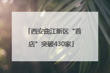 西安曲江新区“首店”突破430家