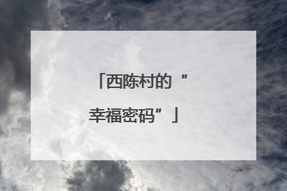 西陈村的“幸福密码”
