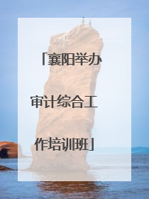 襄阳举办审计综合工作培训班