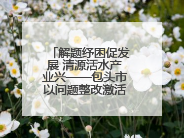 解题纾困促发展 清源活水产业兴——包头市以问题整改激活绿色发展脉动