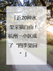 近20种水果采摘自由！杭州一小区成了“四季果园”