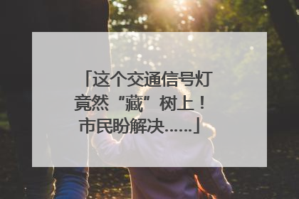 这个交通信号灯竟然“藏”树上！市民盼解决……