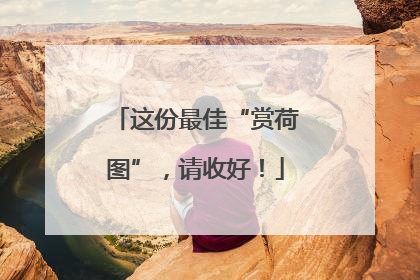 这份最佳“赏荷图”，请收好！