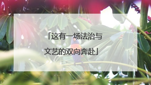 这有一场法治与文艺的双向奔赴