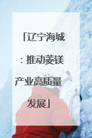 辽宁海城：推动菱镁产业高质量发展