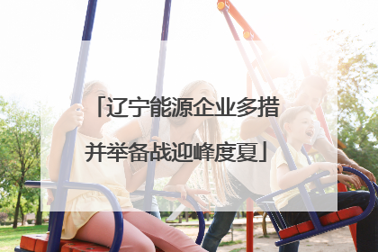 辽宁能源企业多措并举备战迎峰度夏