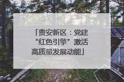 贵安新区：党建“红色引擎”激活高质量发展动能