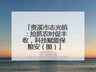 贵溪市志光镇：抢抓农时促丰收，科技赋能保粮安（图）
