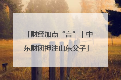 财经加点“言”｜中东财团押注山东父子