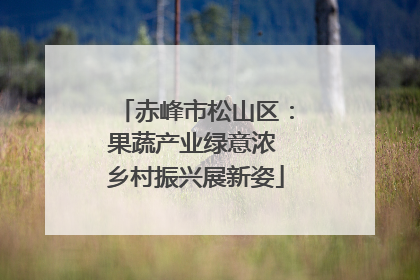赤峰市松山区：果蔬产业绿意浓 乡村振兴展新姿