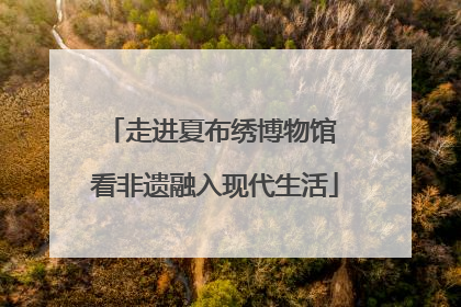 走进夏布绣博物馆 看非遗融入现代生活