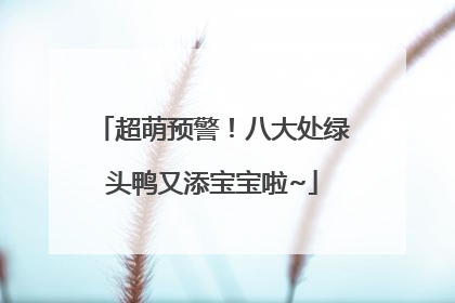 超萌预警！八大处绿头鸭又添宝宝啦~