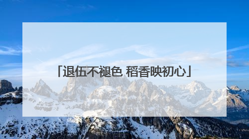 退伍不褪色 稻香映初心