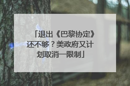 退出《巴黎协定》还不够？美政府又计划取消一限制