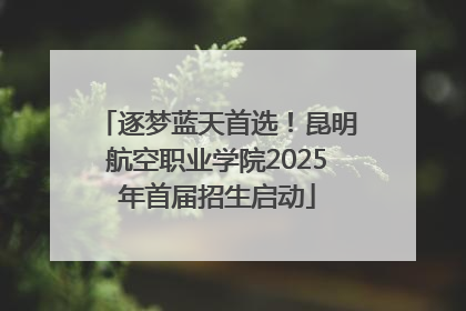 逐梦蓝天首选！昆明航空职业学院2025年首届招生启动
