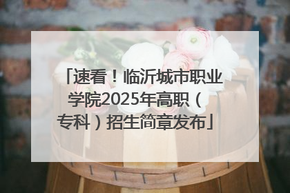 速看！临沂城市职业学院2025年高职（专科）招生简章发布