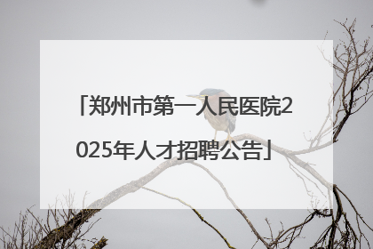 郑州市第一人民医院2025年人才招聘公告