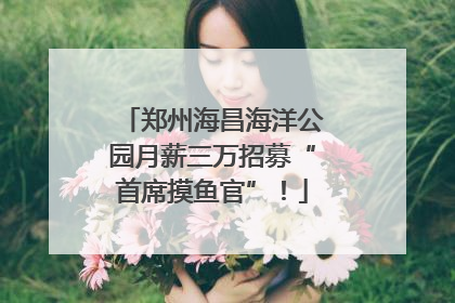 郑州海昌海洋公园月薪三万招募“首席摸鱼官”！