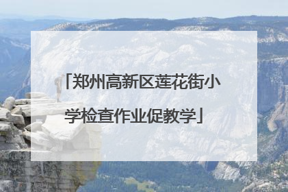 郑州高新区莲花街小学检查作业促教学