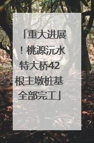 重大进展!桃源沅水特大桥42根主墩桩基全部完工