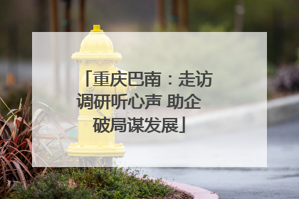 重庆巴南：走访调研听心声 助企破局谋发展