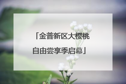 金普新区大樱桃自由尝享季启幕
