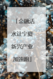 金融活水让宁夏新兴产业加速跑