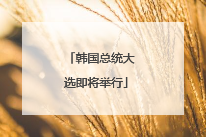 韩国总统大选即将举行