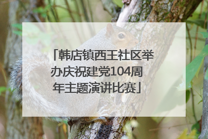韩店镇西王社区举办庆祝建党104周年主题演讲比赛