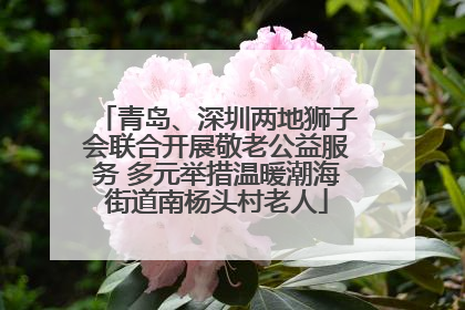 青岛、深圳两地狮子会联合开展敬老公益服务 多元举措温暖潮海街道南杨头村老人