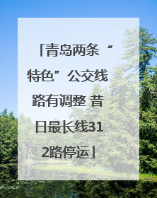 青岛两条“特色”公交线路有调整 昔日最长线312路停运