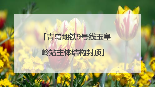 青岛地铁9号线玉皇岭站主体结构封顶